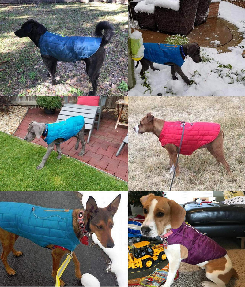 LEMONPET Reversible Reflective Waterproof Dog Jacket Coat for Small Medium Large Dogs Pet Apparel, Dog Coat Winter Cold Weather Warm Vest Clothes S (Neck 12.59'', Chest 14.17-19.68'') Purple - PawsPlanet Australia