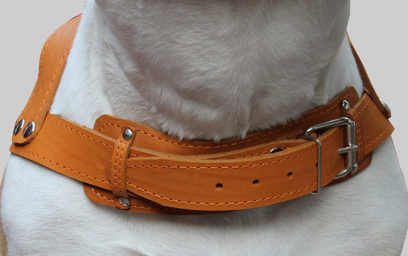 [Australia] - Orange Genuine Leather Dog Pulling Harness 33"-37" Chest Size 1.5" Wide Straps, Cane Corso Rottweiler 