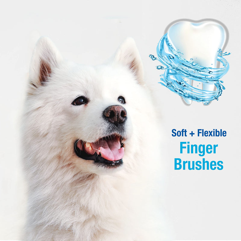 Nylabone Advanced Oral Care Finger Brush 2 Count One Size All - PawsPlanet Australia