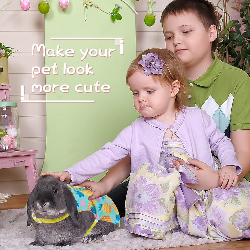 3 Piece Cute Rabbit Leash and Harness Set, Bunny Rabbit Dress Clothes Walking Harness Vest Escape Proof Pet Supply for Rabbit Hedgehog Ferret Guinea Pig Cake, Bunny, Pineapple - PawsPlanet Australia