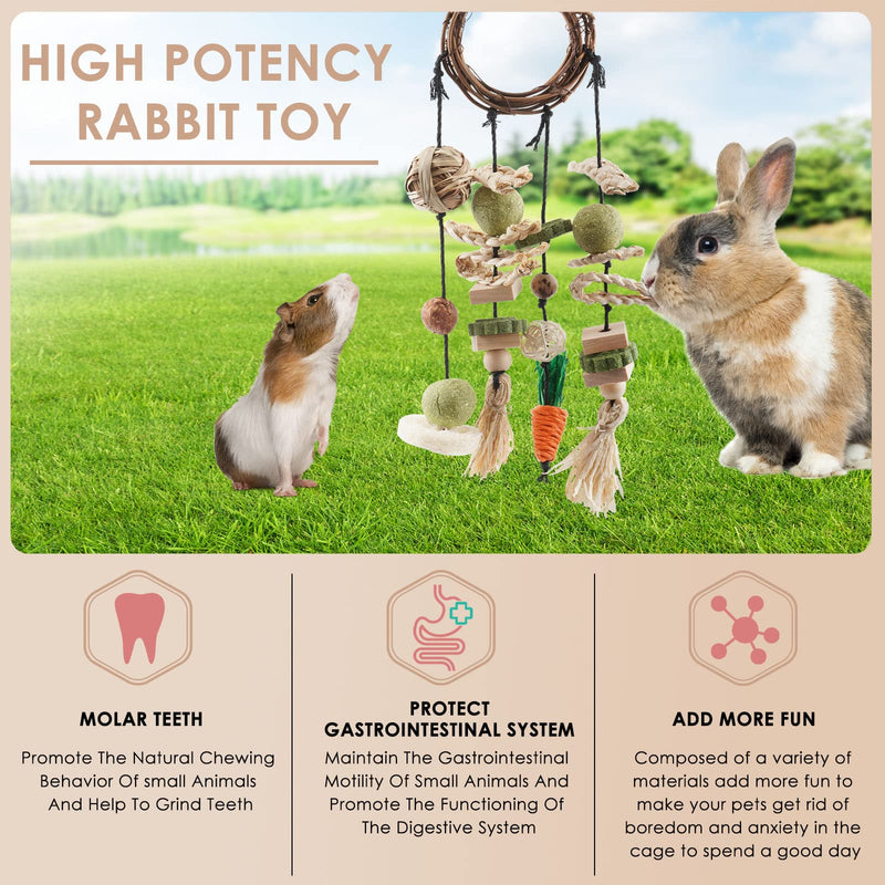 Bissap Bunny Chew Toy, Rabbits Cage Hanging Chew Toys and Treats Rattan Ring with Snacks for Guinea Pigs Chinchillas Hamsters Rats and Other Small Pets Teeth Grinding - PawsPlanet Australia