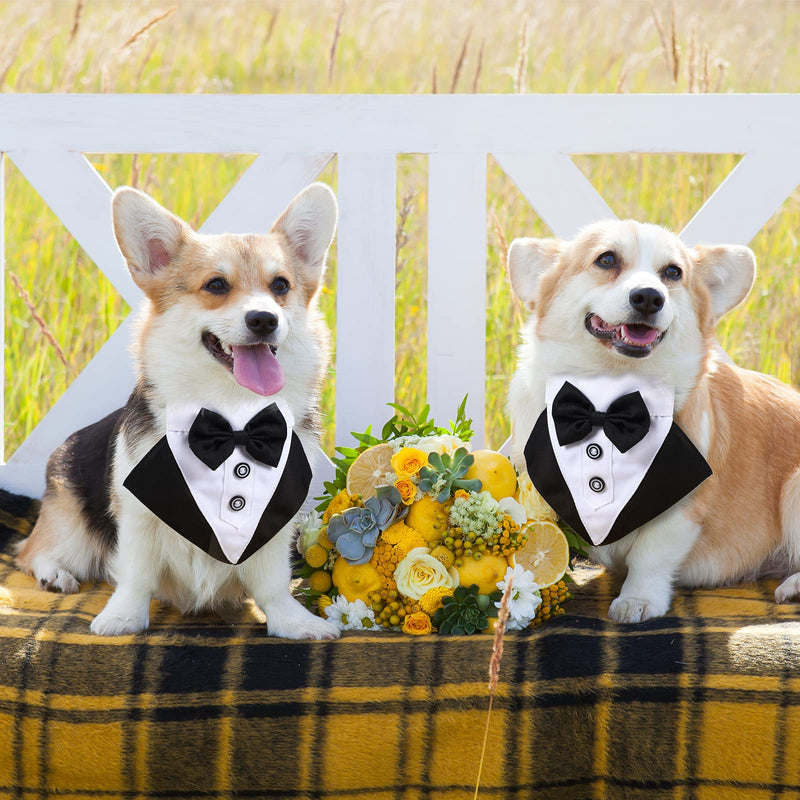 Formal Dog Tuxedo Bandana Dog Wedding Bandana Dog Collar with Bow Tie and Neck Tie Designs Adjustable Black Collar Formal Tux Dog Bowtie Adjustable Neckerchief (Black, S) - PawsPlanet Australia