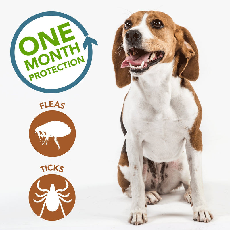 Vet's Best Flea and Tick Spot-on Drops | Topical Flea Treatment Drops for Dogs | Flea Killer with Certified Natural Oils | 3-8 Month Supply for Various Dog Sizes, Multi, 0.6 oz., Model Number: 3165810472 - PawsPlanet Australia