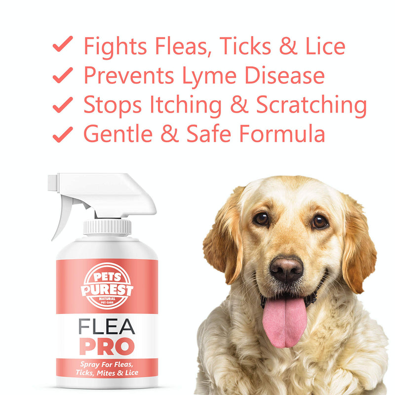 Pets Purest Flea Treatment For Dogs & Cats 100% Natural Mite, Lice, & Tick Remover Flea Spray for Cat, Dog, Pet, Puppy, Kittens, Rabbits, Ferrets, & Horse - Vet Approved - 500ml - PawsPlanet Australia