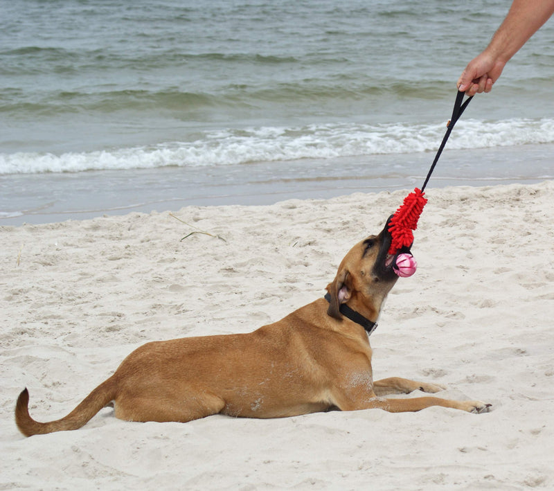 Dingo Agility Mop Bite Tug Floatable Ball Bungee Chaser Red 15588 - PawsPlanet Australia