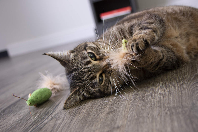 [Australia] - Petlinks Cat Toys with Feathers 