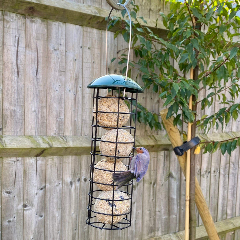 Bird Feeder With 4 Suet Balls Included - Plastic Outdoor Hanging Feeders for Garden Birds Feeding - Attracting Tits, Finches, Robins, Sparrows & many more Wild Birds Fat Balls - PawsPlanet Australia