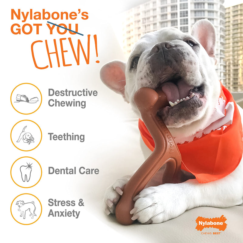 Nylabone Power Chew Dog Bones for Aggressive Chewers Tough Chew Toys for Dogs Bacon Small/Regular (1 Count) - PawsPlanet Australia