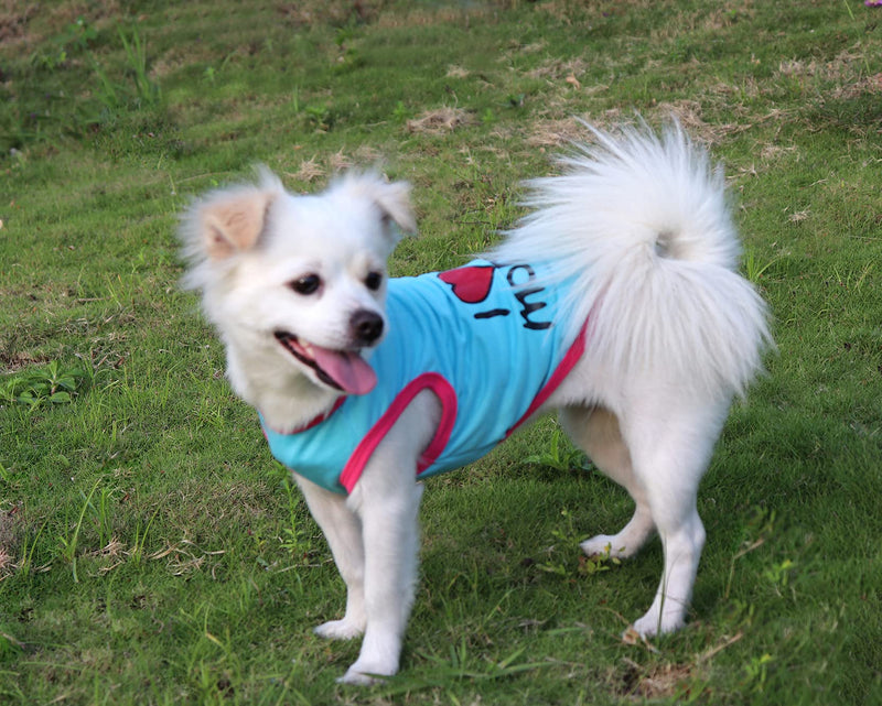 QiCheng&LYS Dog shirt, Minimalist dog T-shirt cute little T-shirt sports T-shirt soft and comfortable (XXL, 2pcs Blue/Orange) XXL - PawsPlanet Australia