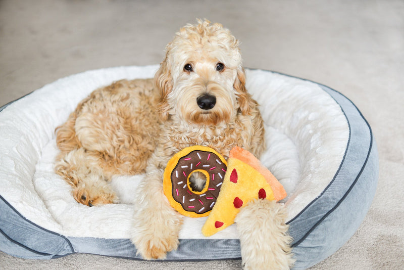 [Australia] - ZippyPaws - Donutz Squeaky Plush Dog Toy Original Chocolate 