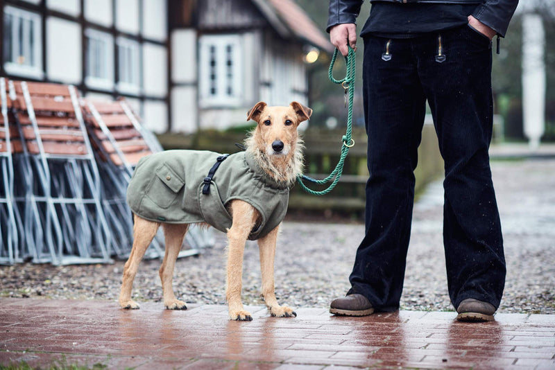 HUNTER Dog coat Uppsala Trend, 25 khaki 3XS - PawsPlanet Australia