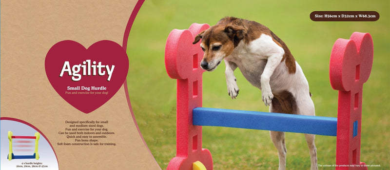 Agility Small Dog Hurdle - PawsPlanet Australia