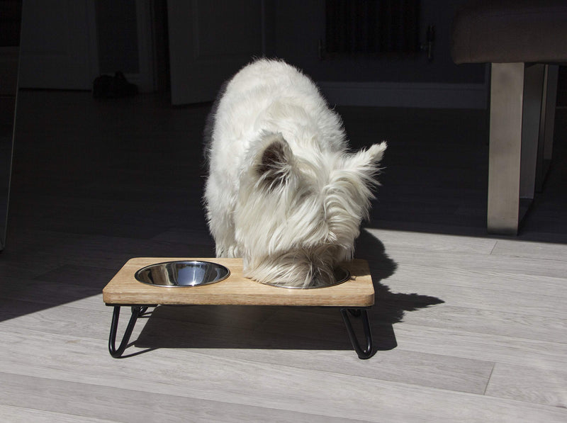 Rosewood Raised dog bowl for small and medium dogs and cats with a sturdy elevated stand and two stainless steel water and food bowls, Medium - PawsPlanet Australia