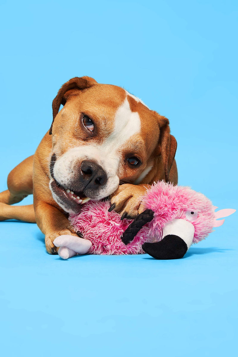 BarkBox Dog Rope Toys - Durable Tug Toys for Chewers, Puppy Teething, and Small, Medium, and Large Dogs | Bert of Paradise Medium/Large Dog - PawsPlanet Australia