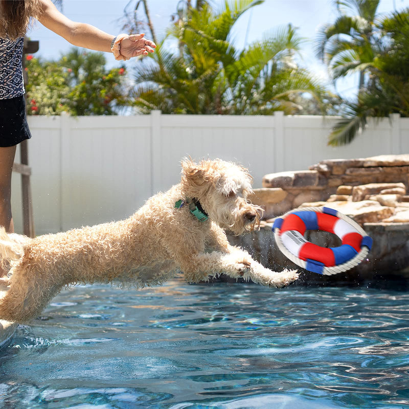 Durable Outdoor Dog Swimming Ring Toys-Dog Flying Disc Interactive Dog Toys Floats in Water & Safe on Teeth - PawsPlanet Australia