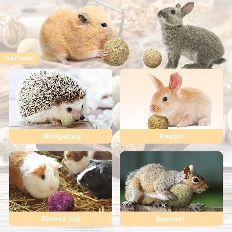 Nuanchu 22 Pieces Flowers Timothy Hay Balls Bunny Chew Balls 3 Flavors Chew Toys Chew Treats Timothy Molar Ball for Bunny, Chinchillas Gerbils, Hamster Guinea Pig and Other Small Animals Teeth Care - PawsPlanet Australia