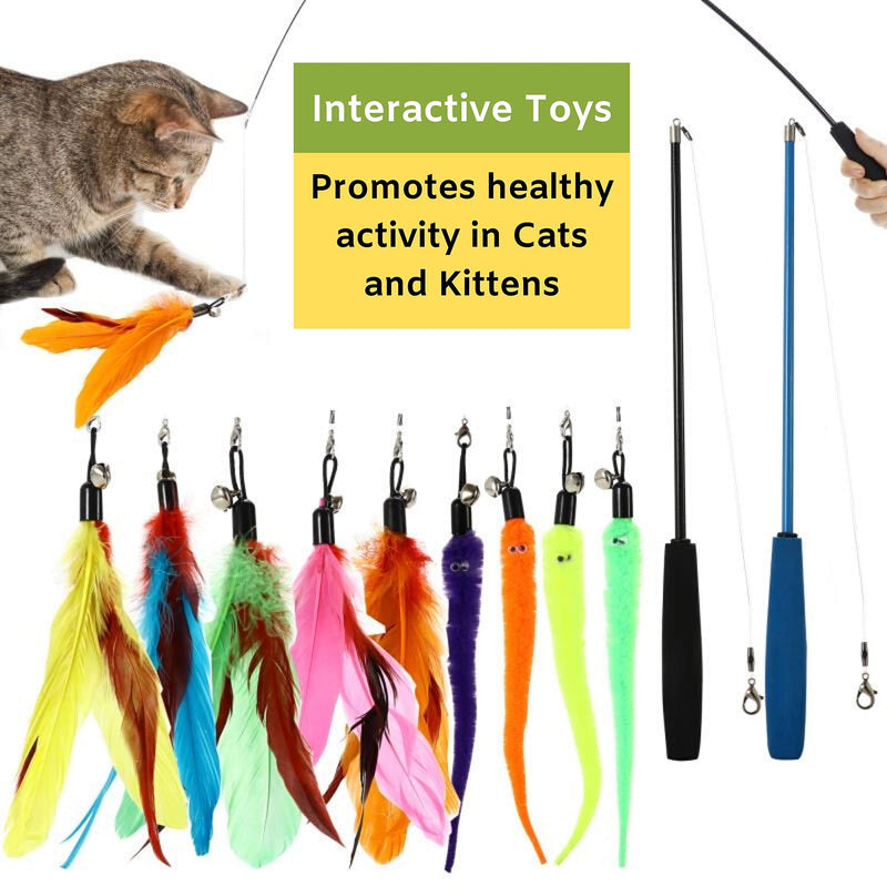 Buddy Wild Cat Toys - Interactive 11 piece toy set with retractable teaser wands and feather worm toys - variety of vibrant colours - activity toys to exercise cats and kittens - PawsPlanet Australia