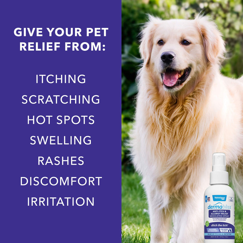 VETNIQUE LABS Dermabliss Anti-Itch & Allergy Relief Spray for Dogs & Cats with Hydrocortisone for Skin Care & Hot Spots - Fragrance Free, Ditch The Itch 4oz Spray Bottle - PawsPlanet Australia