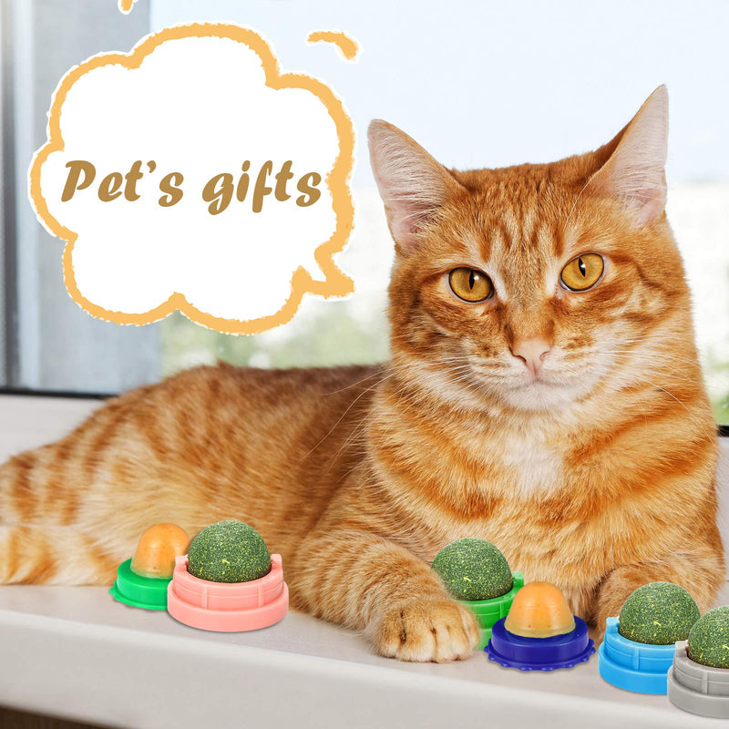 Skylety 12 Pieces Cat Snacks Candy and Catnip Wall Ball Cat Snack Licking Sugar Ball Cat Treats Healthy Candy Ball Catnip Candy Kitten Licking Sweet Ball Treats Lickable Candy Cat Edible Chew Toy - PawsPlanet Australia