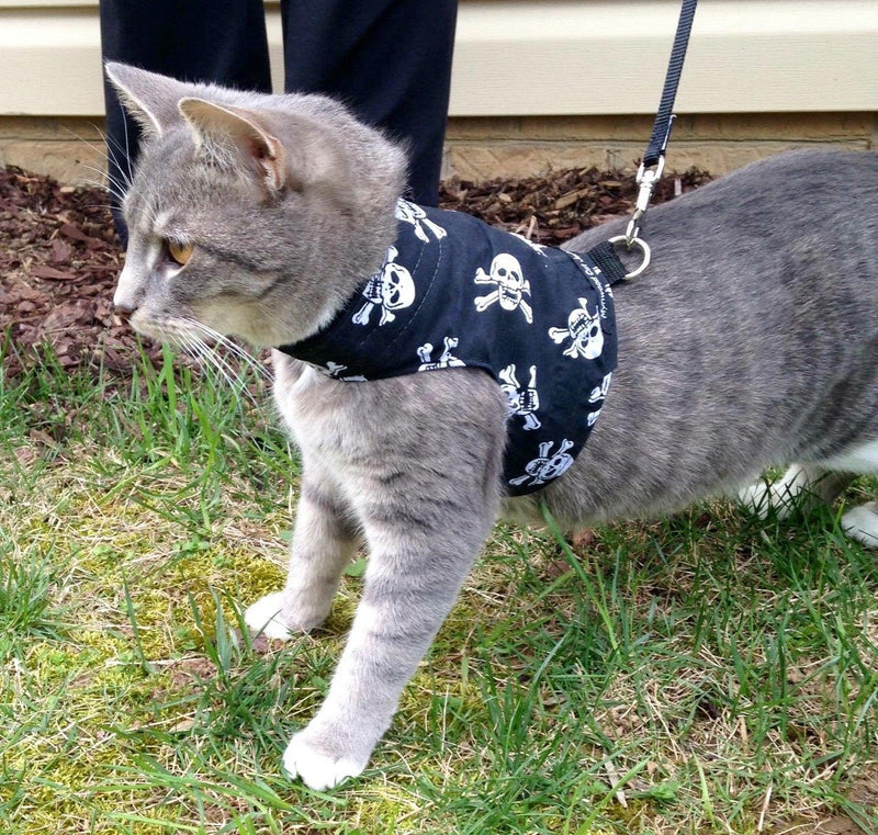 Mynwood Cat Jacket/Harness Skulls Adult Cat - PawsPlanet Australia
