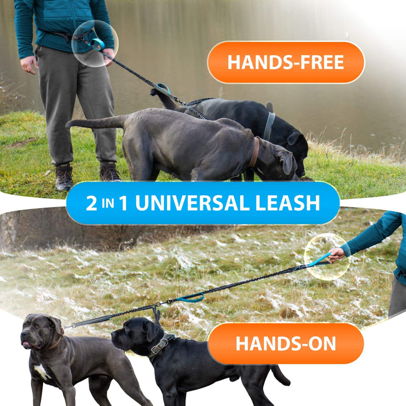 Double leash for two dogs for running, jogging, hiking | 2 in 1 jogging leash and normal dog leash for large and medium dogs with double handle | Waist belt dog leash with reflective seams blue - PawsPlanet Australia