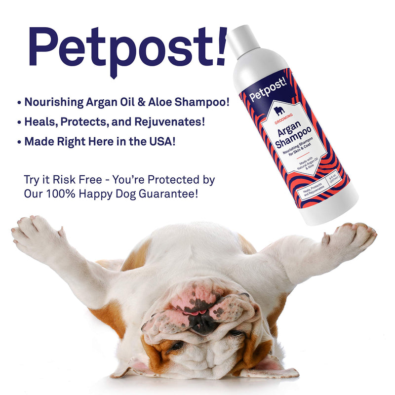 [Australia] - Petpost | Argan Shampoo for Dogs - Naturally Heals, Protects, Rejuvenates Dog Dry Skin & Coat - Argan Oil and Aloe Formula 8 Ounce 