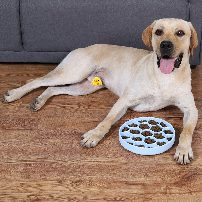 Dricar Slow Feeder Dog Bowl, Large Honeycomb Non Slip Anti Gulp Dog Bowls to Slow Eating, Interactive Slow Feeding Bowl for Dogs and Cats (Orange) Orange - PawsPlanet Australia