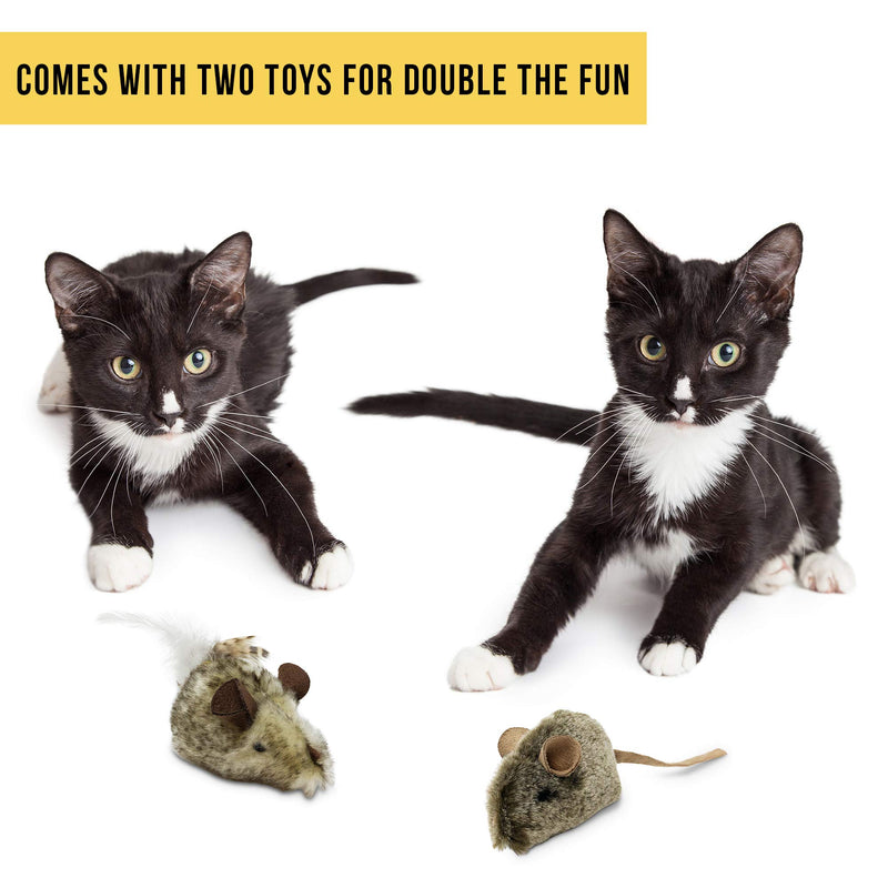 Our Pets Play-N-Squeak Twice The Mice Cat Toy, 2pc (Interactive Cat Toy, Catnip Toy, Catnip Toys for Cats, Real Mouse Electronic Sound, Catnip, Cat Toys) 5" - PawsPlanet Australia