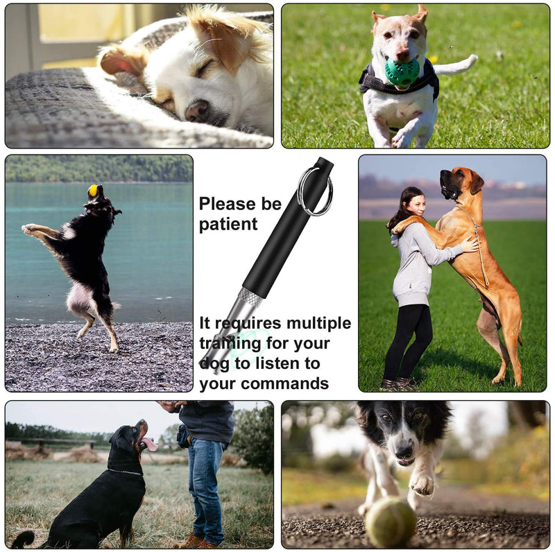 Dog Whistle to Stop Barking,Adjustable Pitch Ultrasonic Dog Training Whistle Silent Bark Control for Dogs- 1 Pack Dog Whistle with Free Lanyard Strap - PawsPlanet Australia