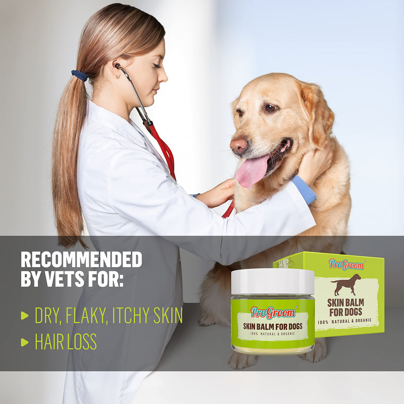 Dog Skin Balm for Itchy Skin - Natural and Organic Ointment for Dogs - Itchy Dog Balm Safe for Licking - PawsPlanet Australia