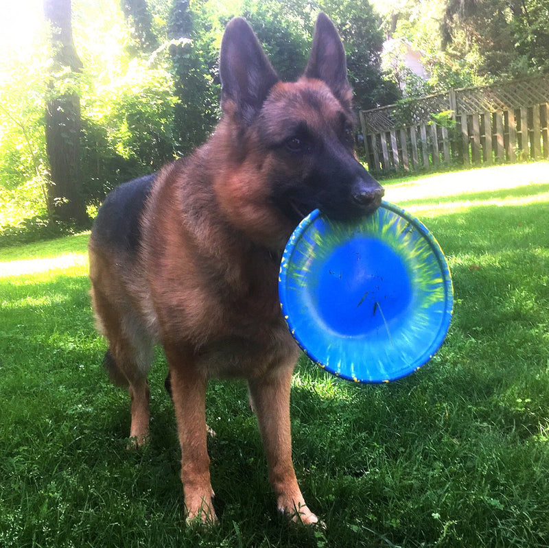 [Australia] - Ruff Dawg K9 Flyer Rubber Dog Toy Large Assorted Colors 