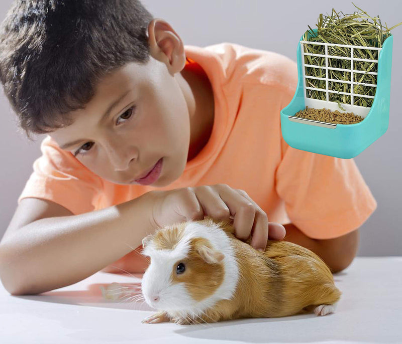 [Australia] - STTQYB Rabbit Hay Feeder, Bunny Feeder Rabbit Guinea Pig Feeder 2 in 1 Hay Food for Guinea Pig Bunny Rabbit Food Hay Feeder Small Animals Food Hay Feeder 1 Pack Blue 