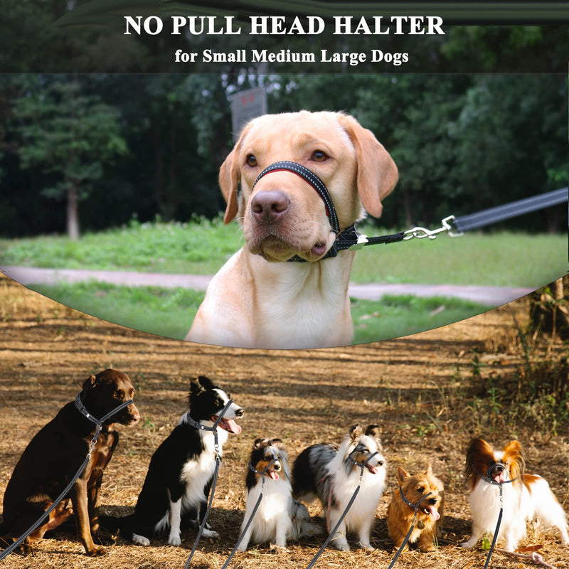 Dog Head Collar, No Pull Head Halter, Soft Headcollar Stops Dogs Pulling on Leash, Durable Dog Training Tool with Leash for Walking Small Medium Large Dogs XS (Snout: 4.7-11.8") Black - PawsPlanet Australia