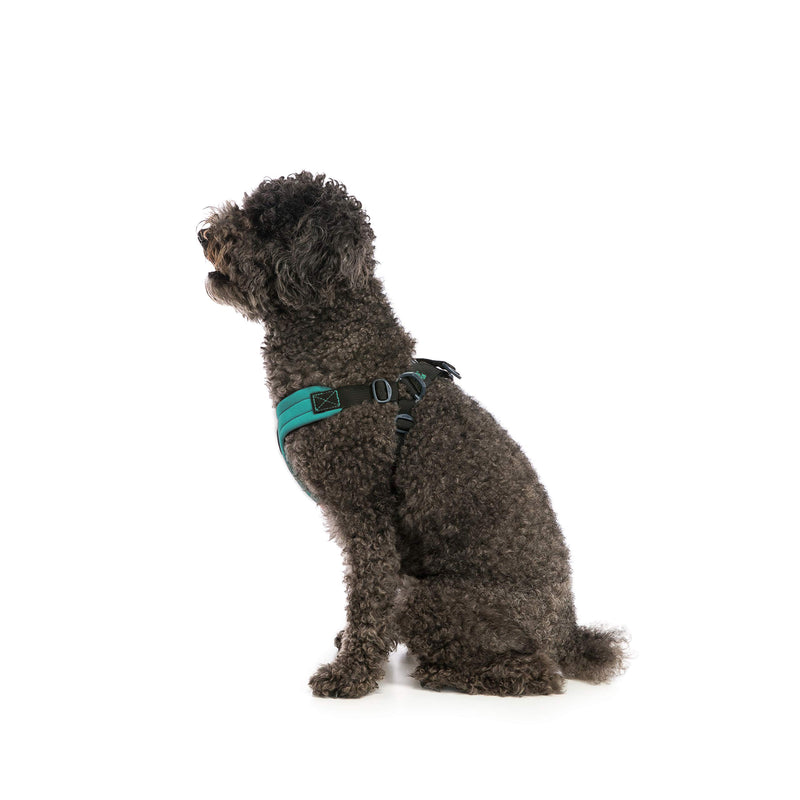 [Australia] - Gooby - Escape Free Sport Harness, Small Dog Step-in Neoprene Harness for Dogs That Like to Escape Their Harness Medium chest (17-20") Turquoise 