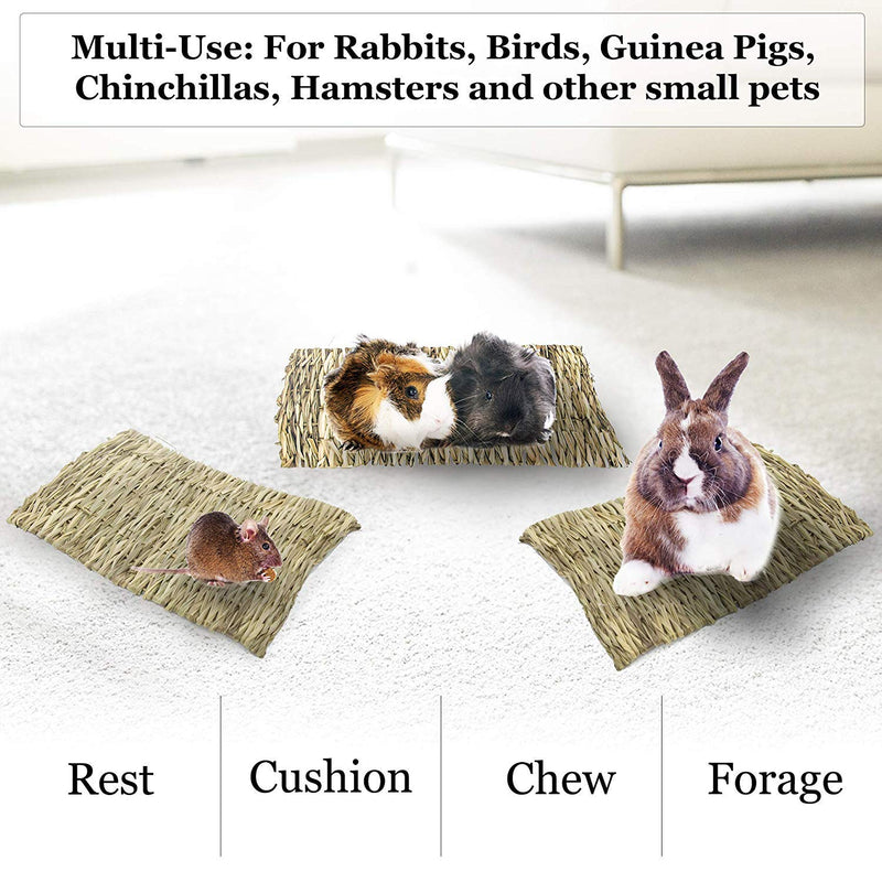 SunGrow Rabbit Seagrass Mat, 7.8” x 11”, Edible, Handmade, Hay Mat for Sleeping, Chewing, Nesting, Great Boredom Buster, Rabbit Teeth Trimmer, Nutritious Snack, 1-Pack - PawsPlanet Australia