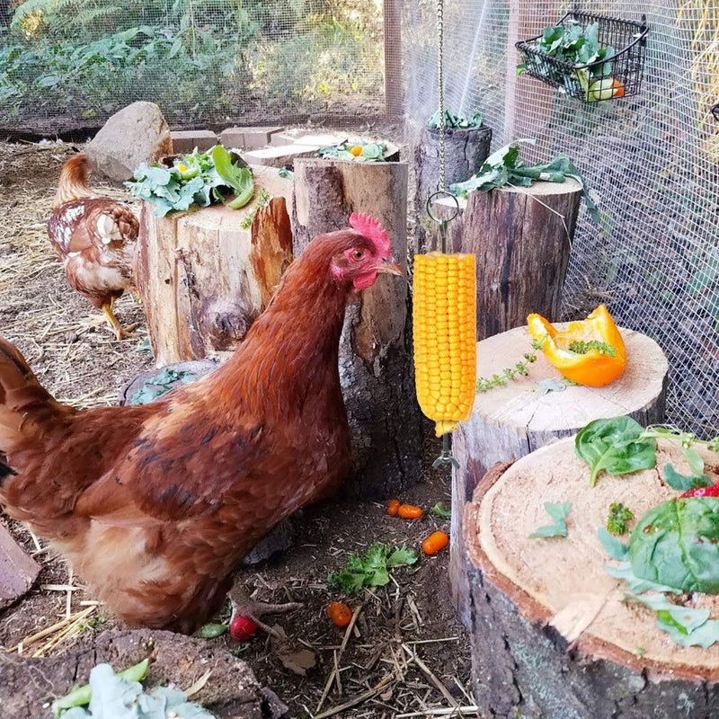 [Australia] - Vehomy Chicken Perch Chicken Roost Bar Toy Chicken Veggies Skewer Fruit Holder Chicken Vegetable Hanging Feeder Chicken Toys for Hens 2Pcs 