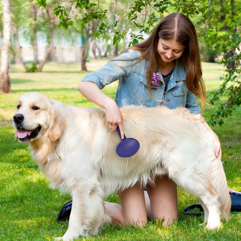 Dog brush cat brush gentle pet brushes with rounded metal tines undercoat brush suitable for dogs and cats short to long hair - PawsPlanet Australia