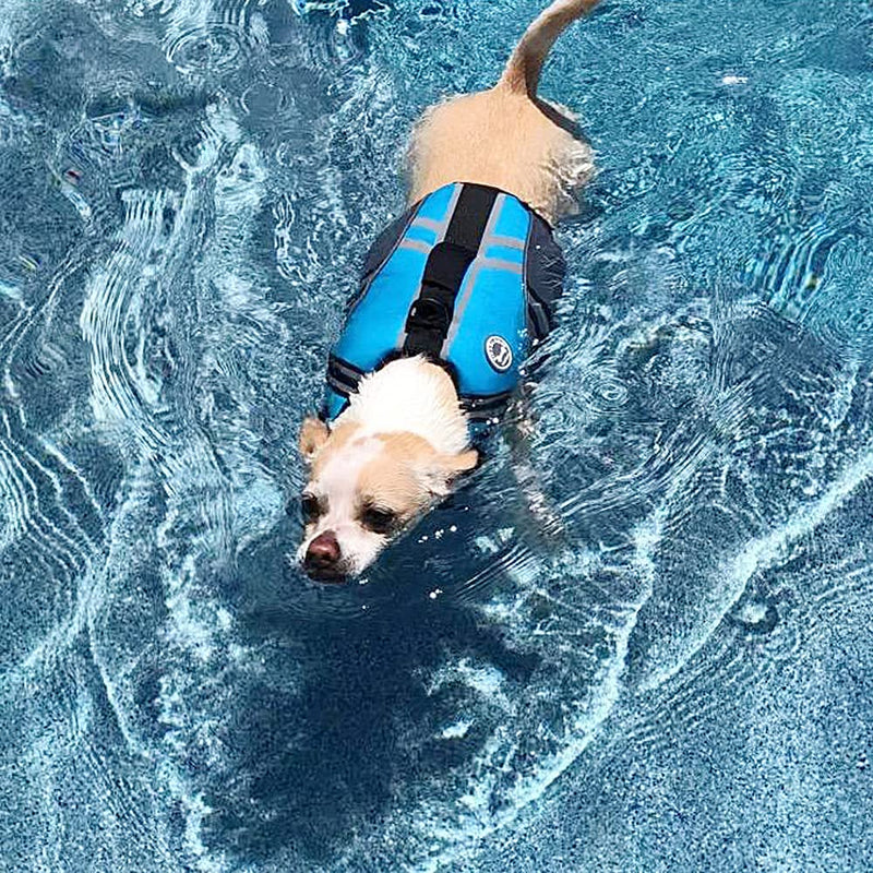 VIVAGLORY New Sports Style Ripstop Dog Life Jacket for Small Dogs with Superior Buoyancy & Rescue Handle, Lake Blue, XS XS: 43-51 cm (Ribcage Girth) - PawsPlanet Australia