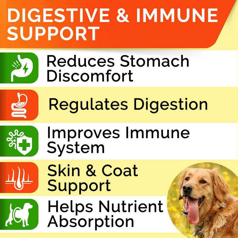 Dog Probiotics Treats for Picky Eaters - Digestive Enzymes + Prebiotics - Chewable Fiber Supplement - Allergy, Diarrhea, Gas, Constipation, Upset Stomach Relief - Improve Digestion, Immunity 120 Chews - PawsPlanet Australia