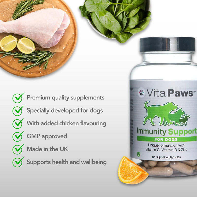 Immune Support Supplement for Dogs | Vitamin C, D & Zinc | Chicken Flavour | 120 Capsules = Up to 4 Month Supply - PawsPlanet Australia