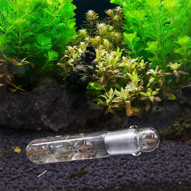 [Australia] - Ailinda Aquarium Supplies Clear Glass Planaria Trap Catch Trap for Cherry Shrimp Crystal red Shrimp Dwarf Shrimp 