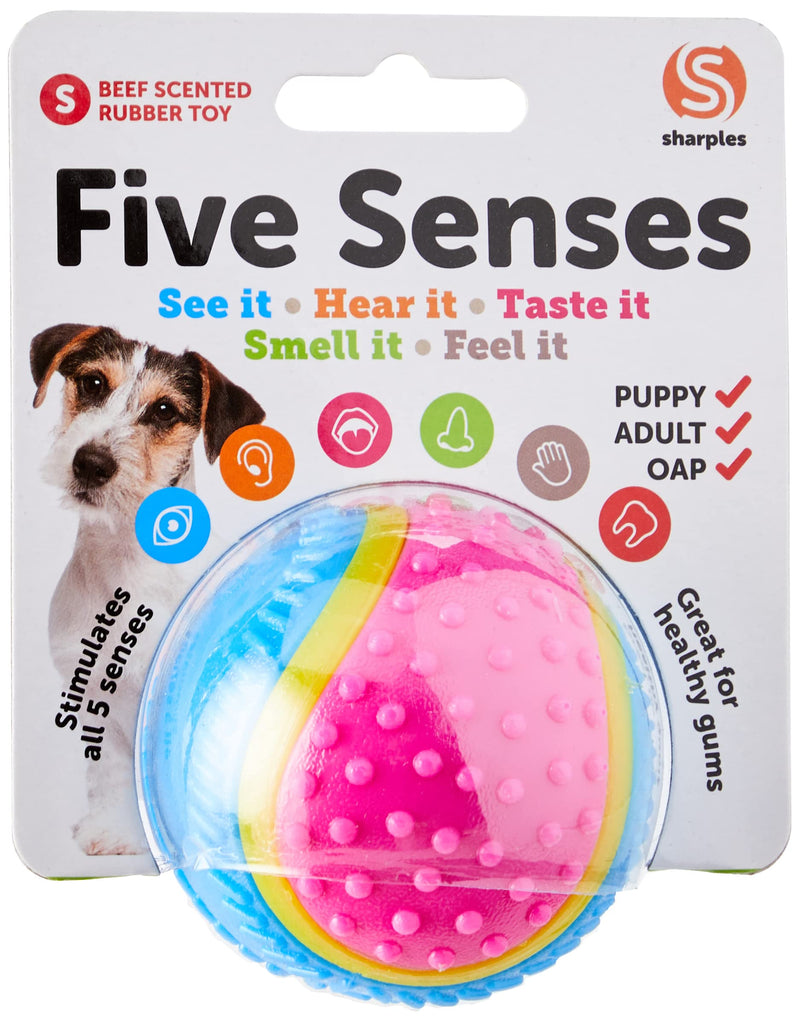 Sharples Five Senses Rubber Ball, Small - PawsPlanet Australia