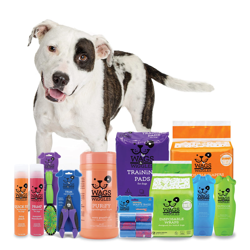 Wags & Wiggles Freshen Deodorizing Wipes 100ct - PawsPlanet Australia