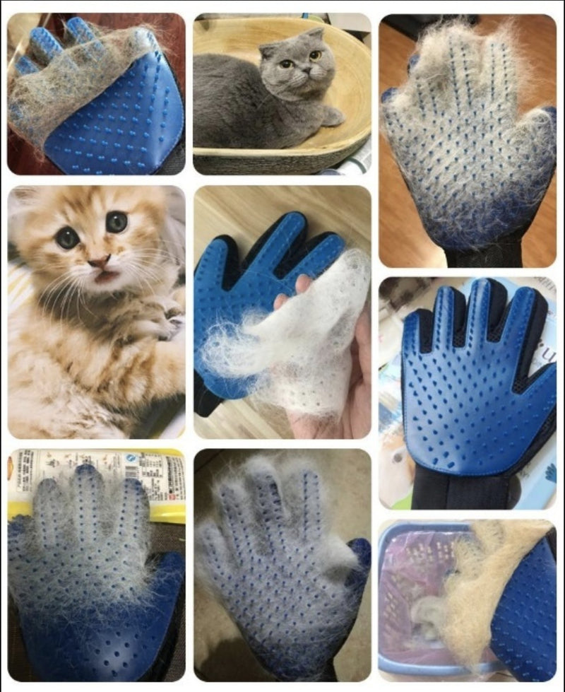 [Australia] - [Premium Version] Pet Grooming Glove and Deshedding Brush - Perfect for Cat and Dog - Short and Long Hair - Gentle Pet Hair Remover Mitt - One-Size-Fits-All - 260 Soft Silicone Tips - Right Hand 