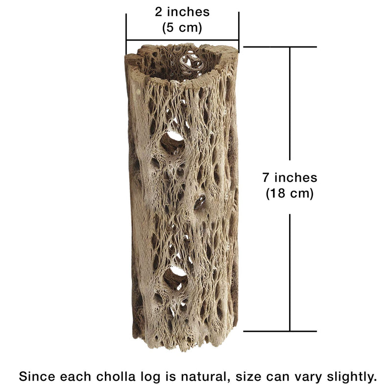 Meric Cholla Cave for Crested Gecko, Exercise, Climbing, Crawling, Perching and Basking Spot, Creates an Enjoyable and Healthy Environment, Multifunctional Vivarium Log Decor,1 Piece per Pack 7 Inches - PawsPlanet Australia