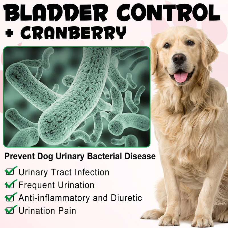 Bladder and Kidney Support for Dogs, Urinary Tract Treatment and Bladder Control Supplement, Soft Chews with Cranberry D-Mannose, Natural Immune System Booster Peking Duck Flavor, 30pcs - PawsPlanet Australia