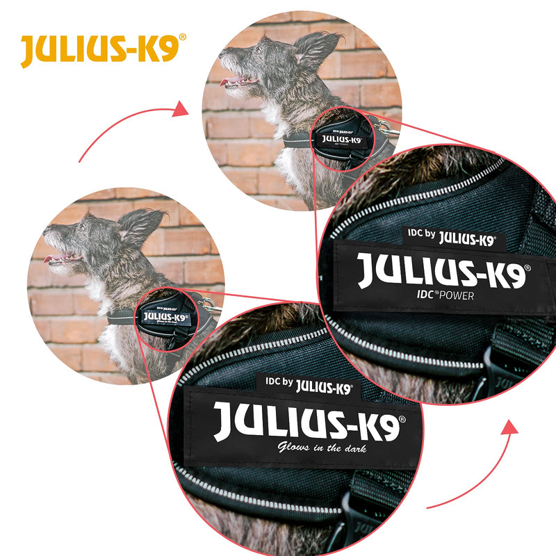 Julius-K9, 16IDC-P-2, IDC Powerharness, dog harness, Size: 2, Black XL/2 - PawsPlanet Australia