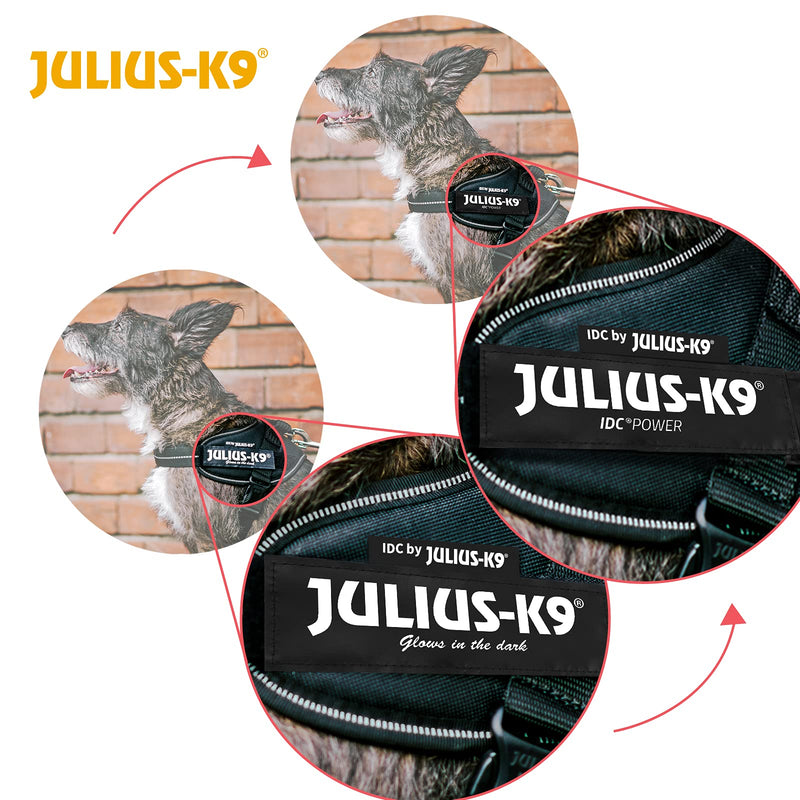 Julius-K9, 16IDC-ANT-B1, IDC Powerharness, dog harness, Size: Baby 1, Anthracite 3XS/Baby 1 - PawsPlanet Australia