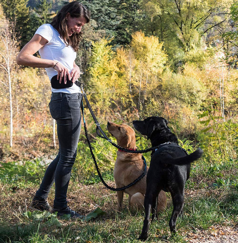 Happilax Dog Jogging Lead, Elastic Reflective Lead with Belly Strap, Up To 100 KG, 120 - 220 CM Black-Blue - PawsPlanet Australia