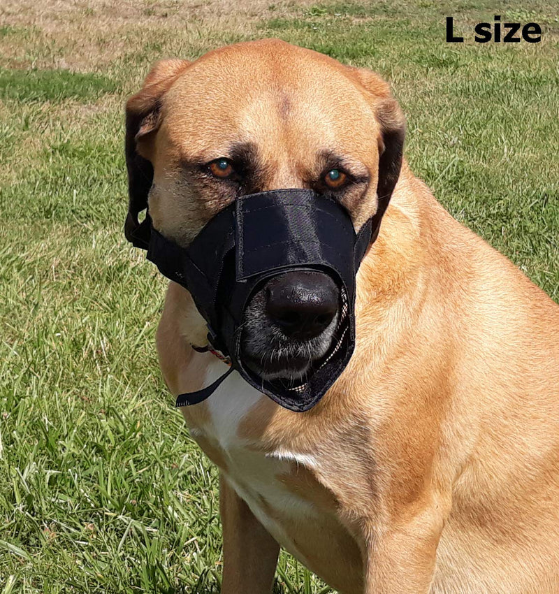 Dingo Nylon Muzzle for Parson Russel Pinscher, Miniature Schnauzer, Puppy, Small Breeds 16774 S New - PawsPlanet Australia